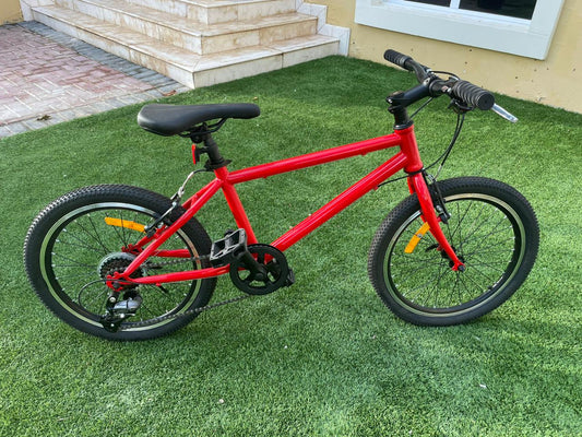 20" Bike (Red)