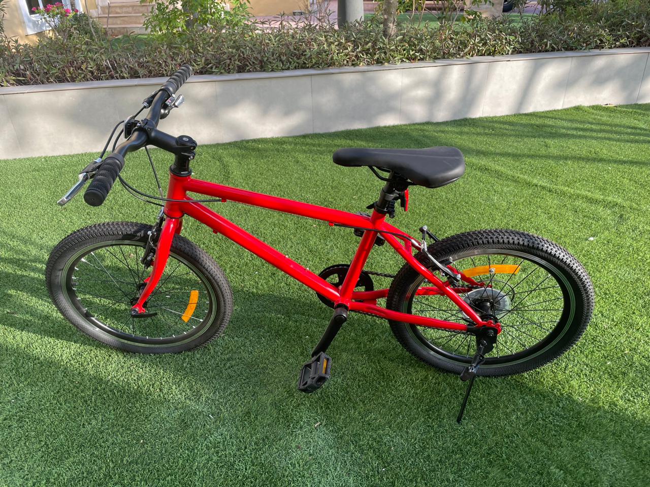 20" Bike (Red)
